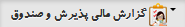 گزارش مالی